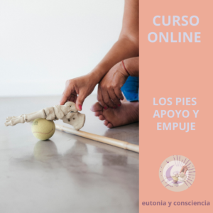Curso online de eutonia, los pies, consciencia ósea.