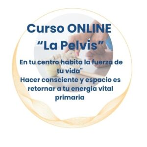 pelvis 11